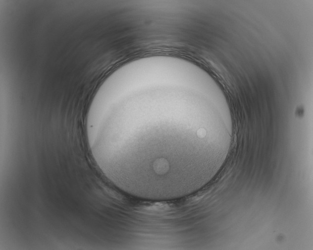 X0000116610125201001221327