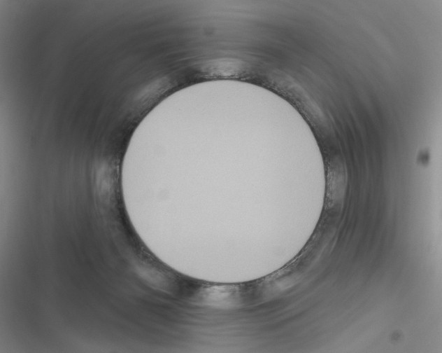 X0000116610126201001221327