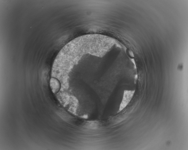 X0000116610127201001221327