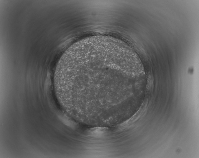 X0000116610128201001221327