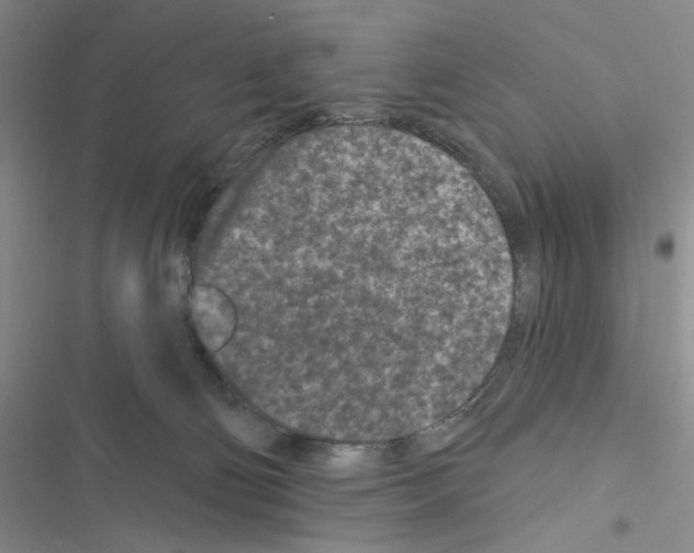 X0000116610130201001221327