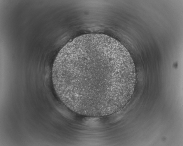 X0000116610132201001221327