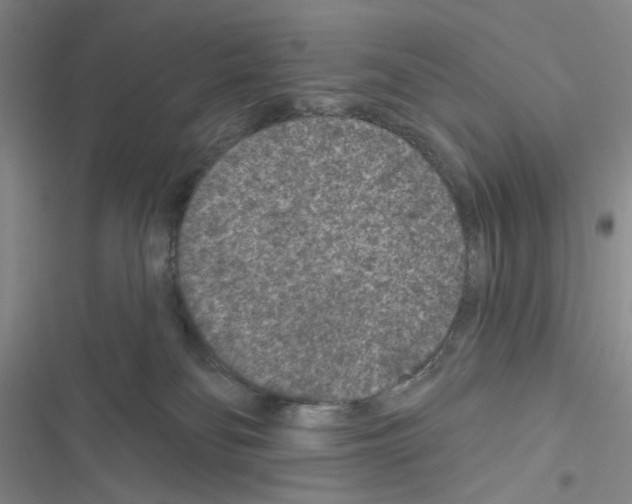 X0000116610134201001221327