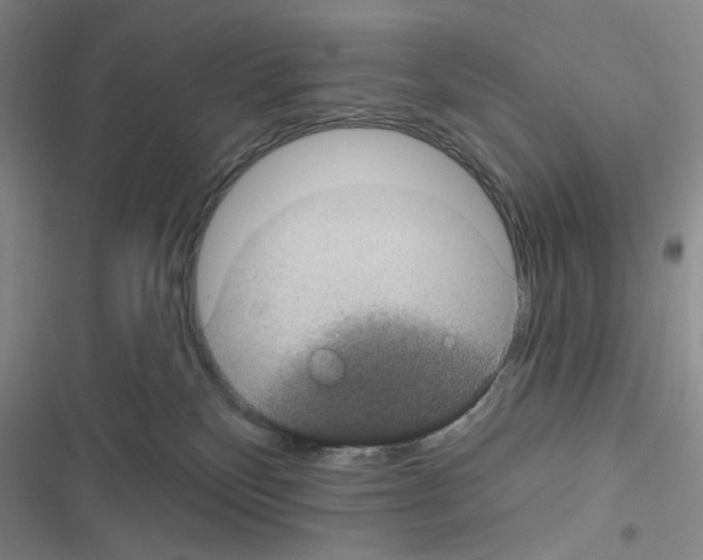 X0000116610136201001221327