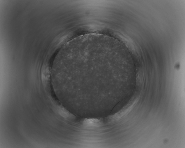 X0000116610137201001221327