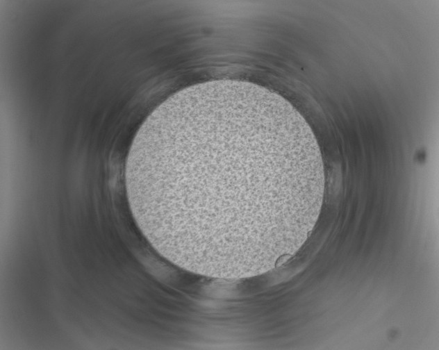 X0000116610138201001221327