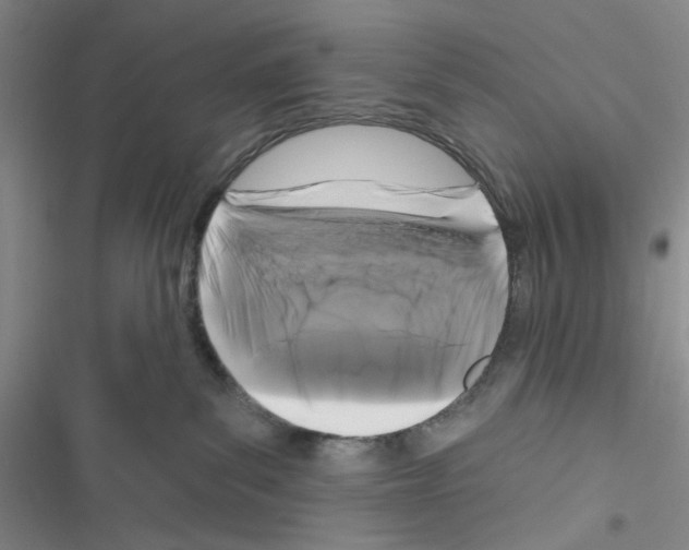 X0000116610139201001221327