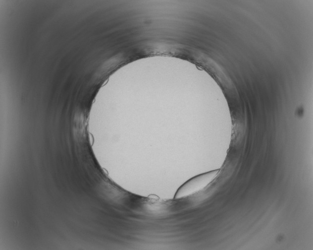 X0000116610142201001221327