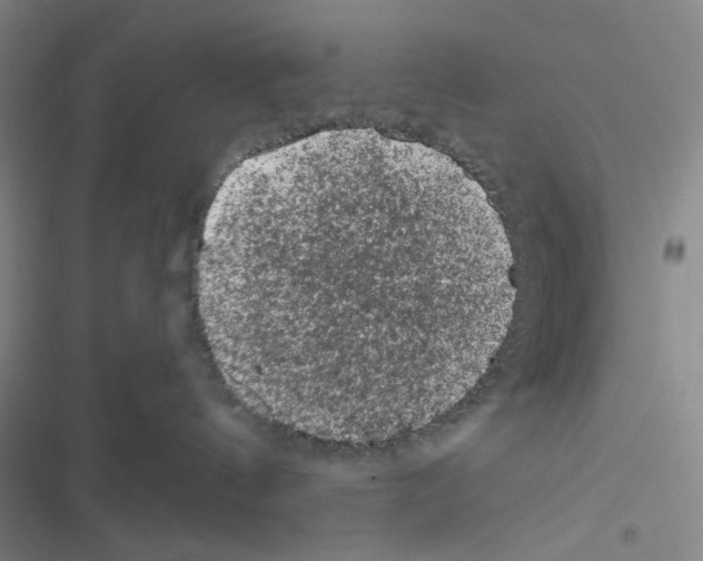 X0000116610144201001221326