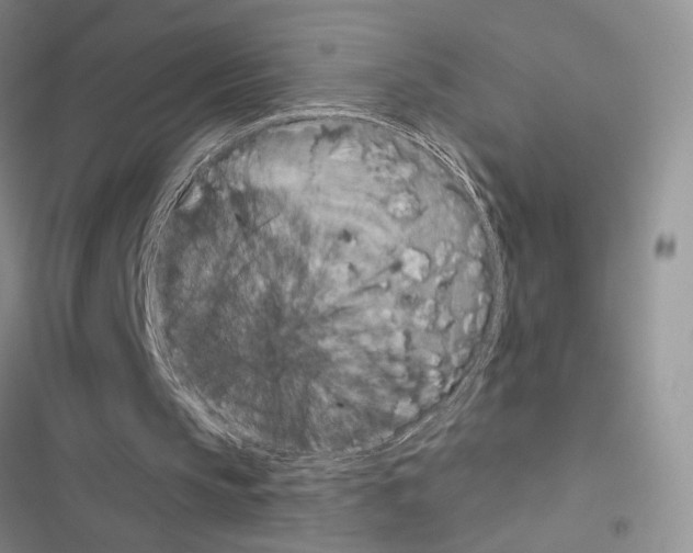 X0000116610145201001221326