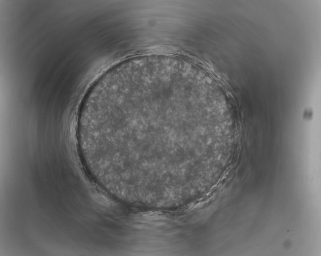 X0000116610146201001221326