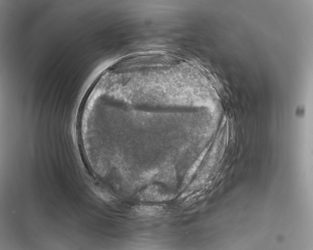 X0000116610147201001221326