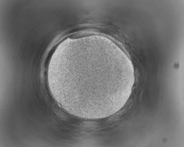 X0000116610150201001221326