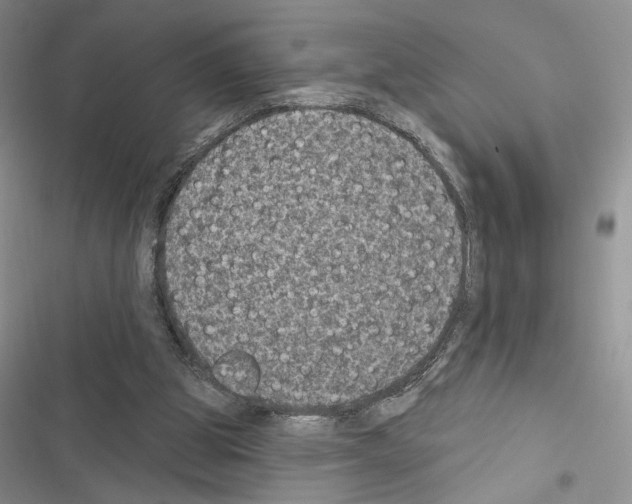 X0000116610153201001221326