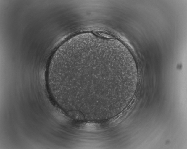 X0000116610154201001221326