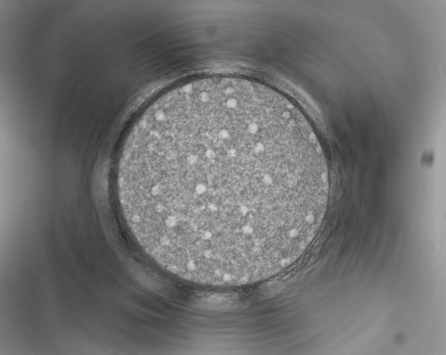 X0000116610155201001221326