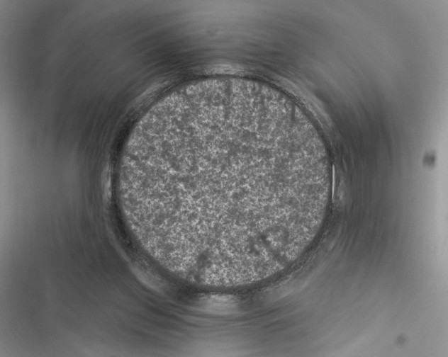 X0000116610157201001221326