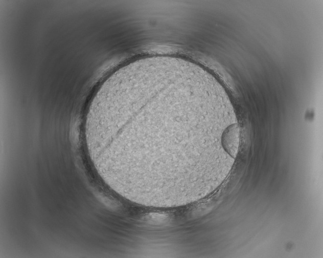 X0000116610159201001221326