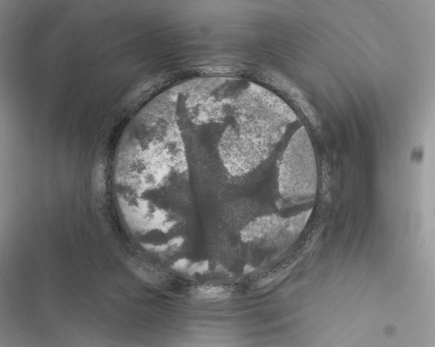 X0000116610161201001221326