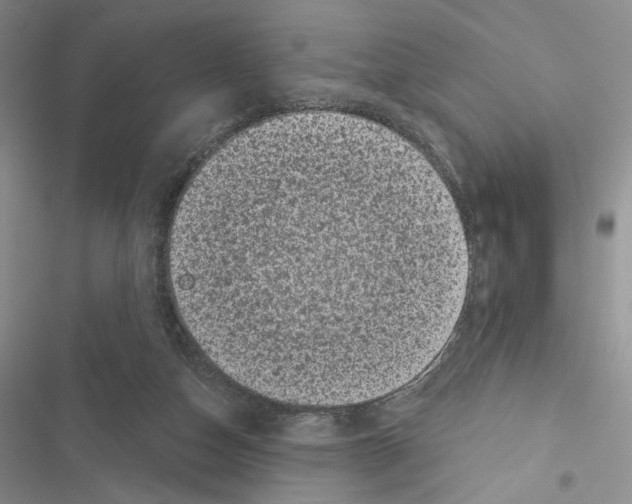 X0000116610162201001221326