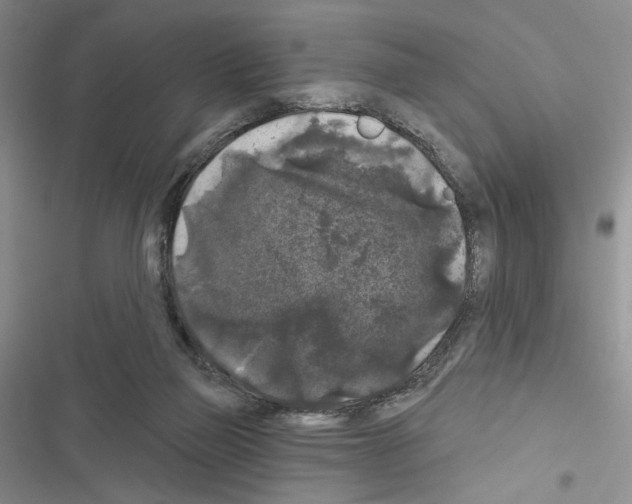 X0000116610165201001221326