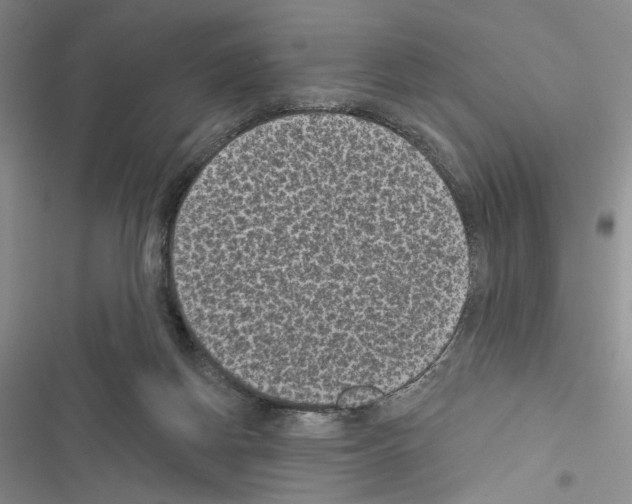 X0000116610166201001221326