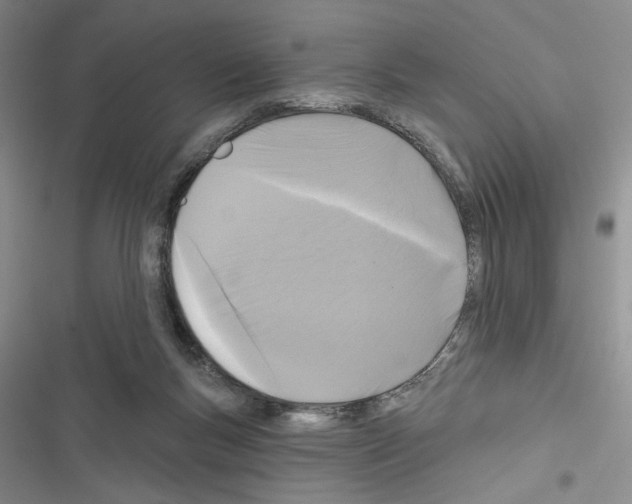 X0000116610167201001221326