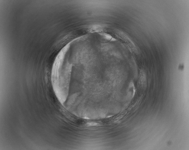 X0000116610169201001221326