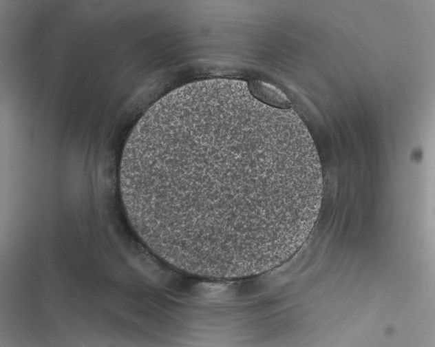 X0000116610170201001221326