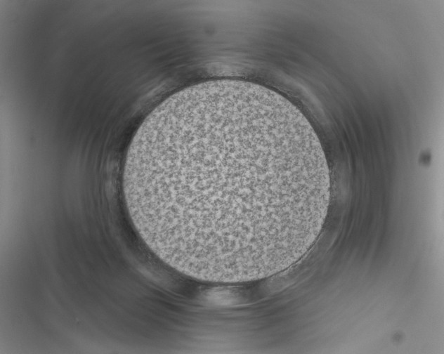 X0000116610171201001221326