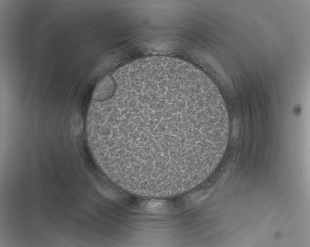 X0000116610173201001221326