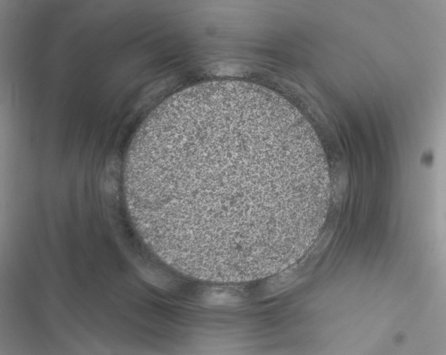 X0000116610175201001221326