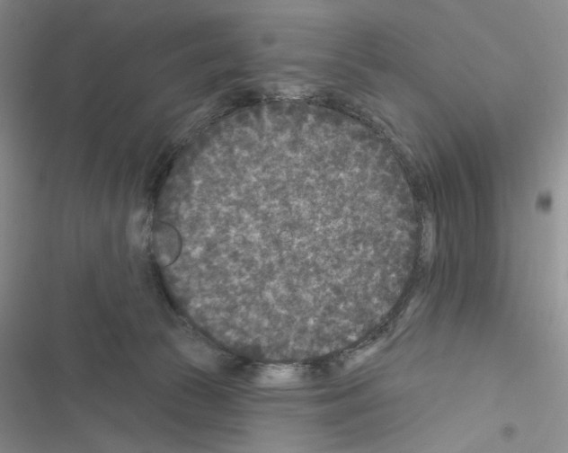 X0000116610177201001221326