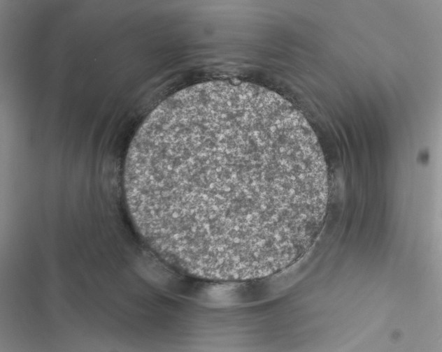 X0000116610178201001221326