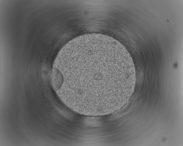 X0000116610179201001221326