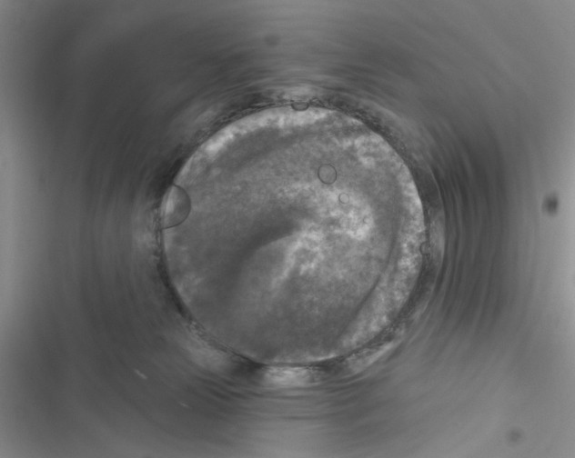 X0000116610181201001221326