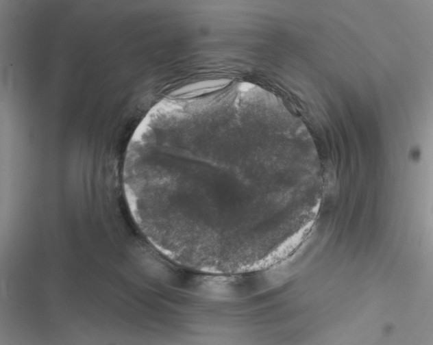 X0000116610182201001221326