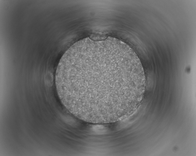 X0000116610183201001221326