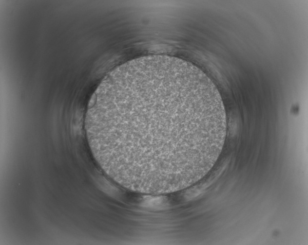 X0000116610185201001221326