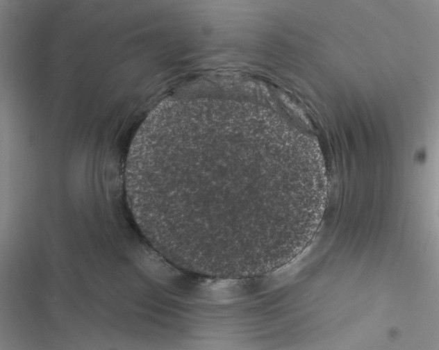 X0000116610186201001221326