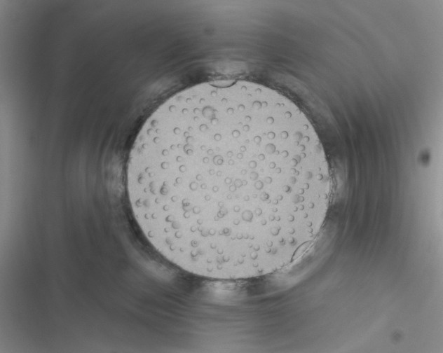 X0000116610187201001221326