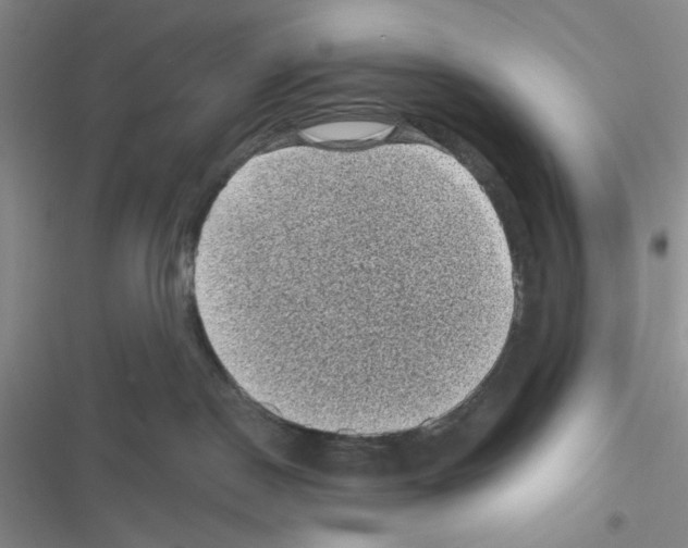 X0000116610190201001221326