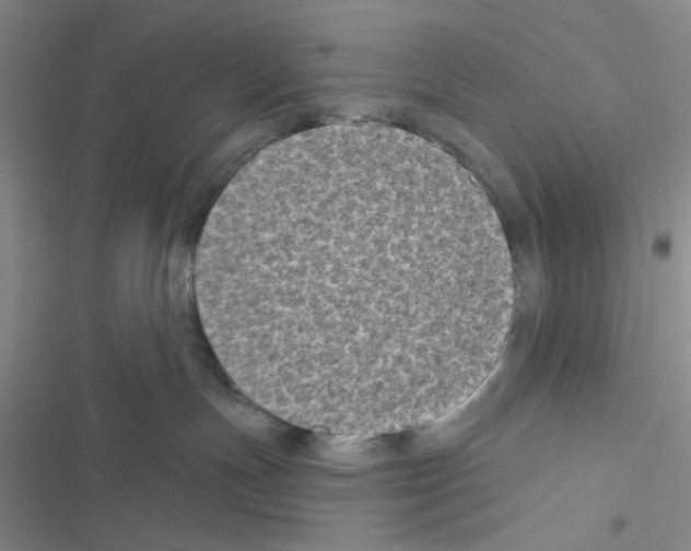 X0000116610191201001221326