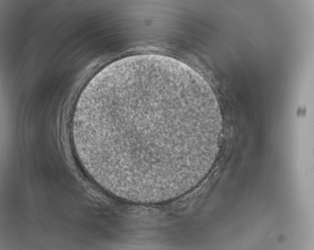 X0000116610193201001221326