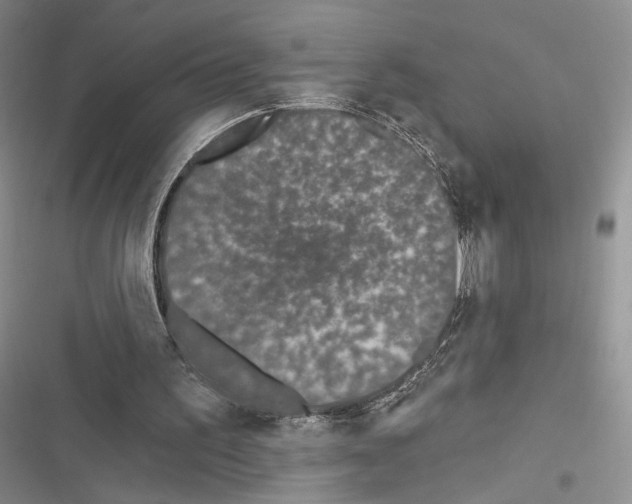 X0000116610195201001221326