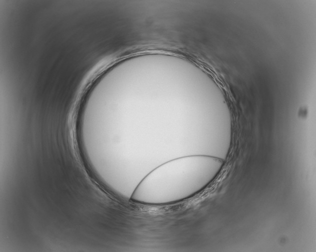 X0000116610197201001221326