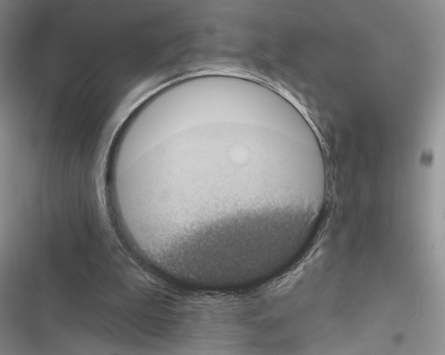 X0000116610199201001221326