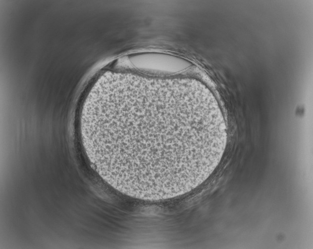 X0000116610200201001221326