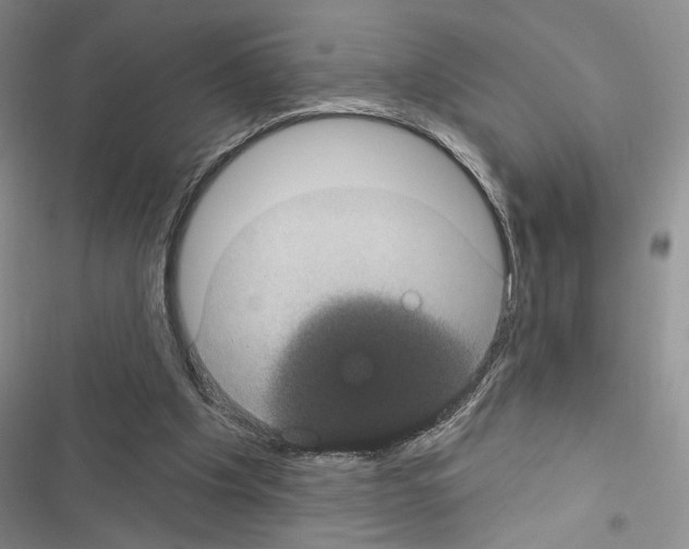 X0000116610201201001221326