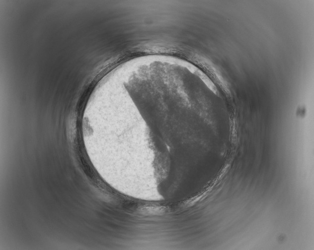 X0000116610202201001221326